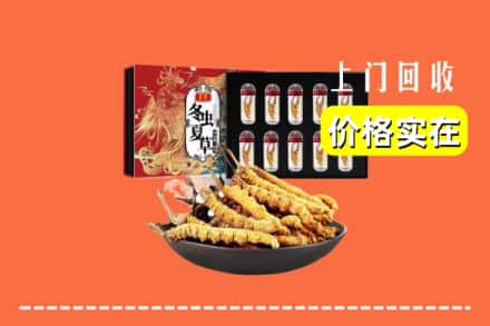 沈阳市新民回收冬虫夏草